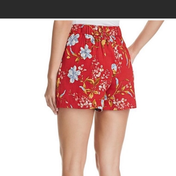 NWT Vince Camuto dressy shorts - Picture 3 of 3